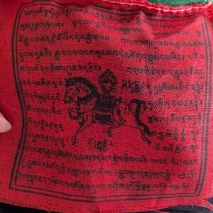 Red Fabric with Black Horse Design